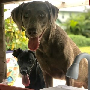 Meet your Posher, Courtney